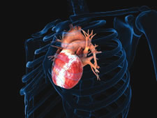 Hormone reverses symptoms of heart failure