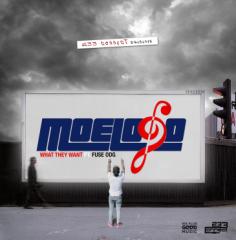 Music: Moelogo & Fuse ODG – What They Want