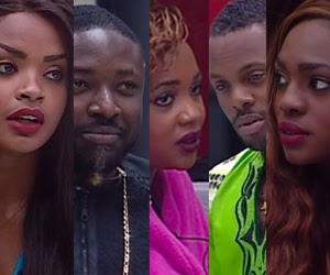 #BBATHECHASE:Facts About The 5 Final Contestants