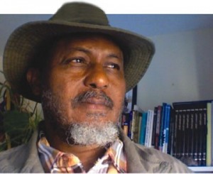 Tunde Fagbenle: The sad cankerworm of ethnicity