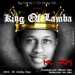 Music: Mr.Trips – King Of Lamba [@Mr_Trips]