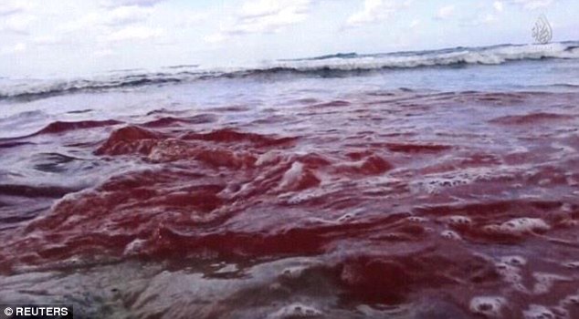 The sickening image of blood in the sea is believed to have been created using special effects  